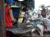 Delta Orinoco - rybý trh v Tucupite