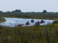 Delta Dunaja
