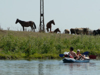 Delta Dunaja
