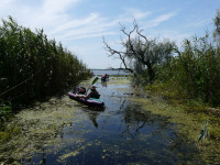 Delta Dunaja