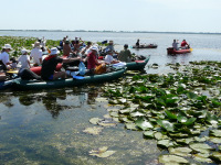 Delta Dunaja