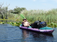 Delta Dunaja