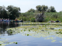 Delta Dunaja