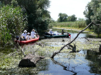 Delta Dunaja