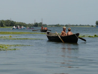 Delta Dunaja
