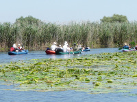 Delta Dunaja