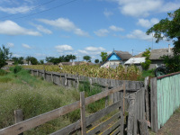 Delta Dunaja