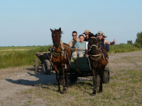 Delta Dunaja