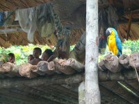 Venezuela pre rybárov a ornitologov