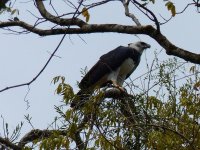 druhe dodatocne (16)