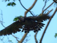 druhe dodatocne (6)