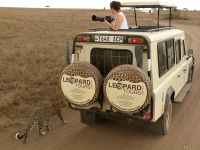 Leopard a jeho Tours