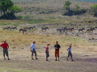Ngoron goro, bieli Masaji