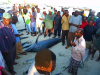 Zanzibar