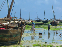 Zanzibar