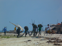 Zanzibar
