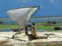 Zanzibar