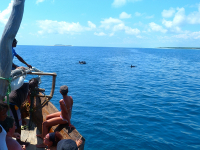 Zanzibar