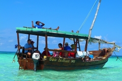Afrika 2011