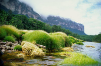 Canaima - Color off Beneton
