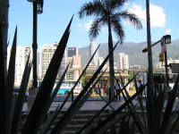 Caracas