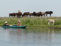 Delta Dunaja