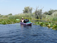 Delta Dunaja