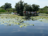Delta Dunaja