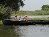 Delta Dunaja