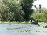 Delta Dunaja