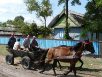 Delta Dunaja