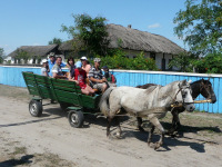 Delta Dunaja