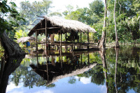Delta Orinoco - palafitos, osady na koloch