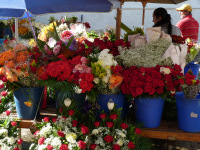 Equador, Peru, Bolívia, Chile 2011