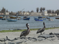 Equador, Peru, Bolívia, Chile 2011