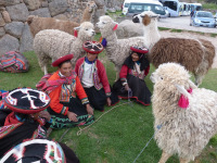 Equador, Peru, Bolívia, Chile 2011
