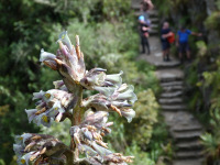 Equador, Peru, Bolívia, Chile 2011
