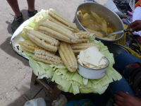 Equador, Peru, Bolívia, Chile 2011