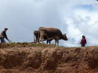 Equador, Peru, Bolívia, Chile 2011
