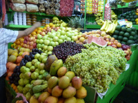Equador, Peru, Bolívia, Chile 2011