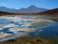 Equador, Peru, Bolívia, Chile 2011