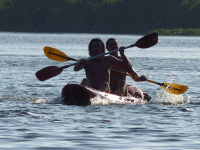 Gorily, rafting, najkrajšia hora, safari  a oceán – Afrika 2014