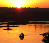 Gorily, rafting, najkrajšia hora, safari  a oceán – Afrika 2014