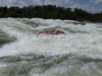 Gorily, rafting, najkrajšia hora, safari  a oceán – Afrika 2014