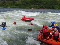 Gorily, rafting, najkrajšia hora, safari  a oceán – Afrika 2014
