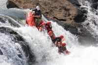 Gorily, rafting, najkrajšia hora, safari  a oceán – Afrika 2014