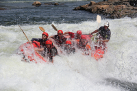 Gorily, rafting, najkrajšia hora, safari  a oceán – Afrika 2014