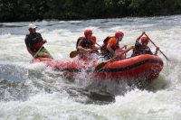 Gorily, rafting, najkrajšia hora, safari  a oceán – Afrika 2014