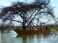 Gorily, rafting, najkrajšia hora, safari  a oceán – Afrika 2014