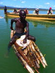 Gorily, rafting, najkrajšia hora, safari  a oceán – Afrika 2014